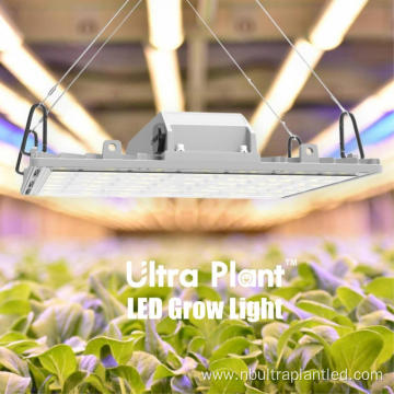 High quality Supplemental Grow Light Deep Red